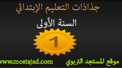 جذاذات المستوى الأول ابتدائي بحلة رائعة PDF