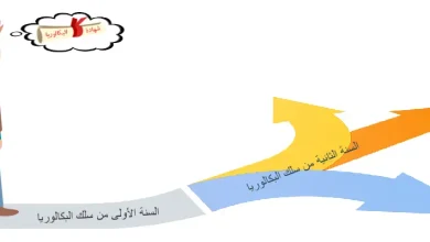 إعادة التوجيه بسلك الجذوع المشتركة