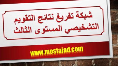 شبكة تفريغ نتائج التقويم التشخيصي المستوى الثالث